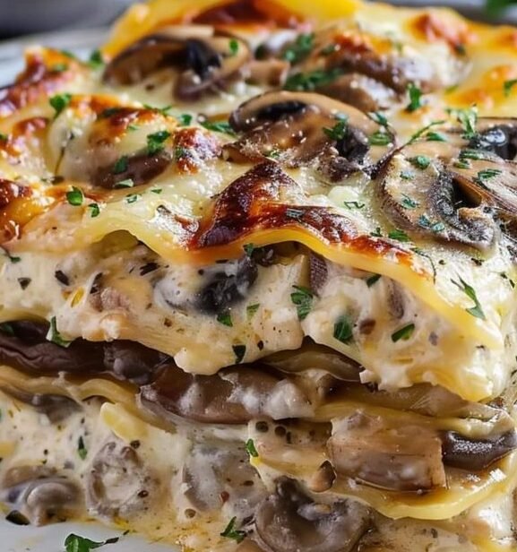 lasanha de cogumelos e molho bechamel